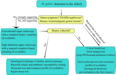 Frontiers Focusing On Helicobacter Pylori Infection In The Elderly