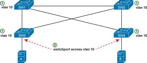 Vlan Trunking Protocol Internold Networks