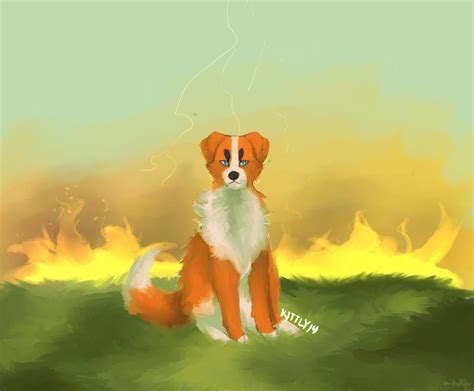 Peku by Kittly on DeviantArt