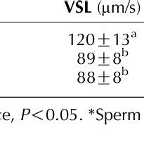 Motion Parameters Of Fresh Spermatozoa Non Frozen And Frozen Thawed