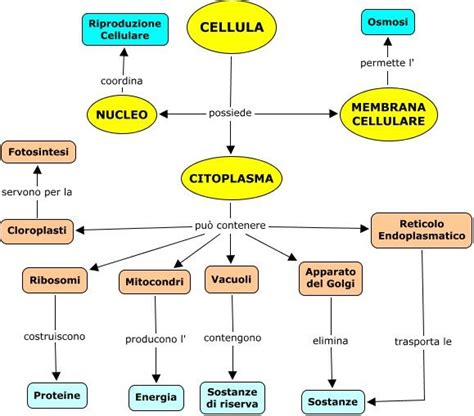 Cellula Html Quaderni Scientifici Lezioni Di Scienze Scienza