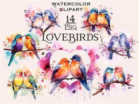 Love Birds Valentines Day Clipart Graphic By Fantasydreamworld