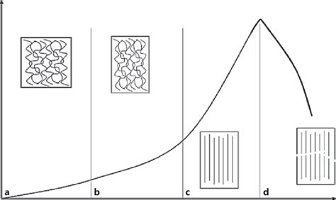 Glomeca Elastic Modulus At The Skin Level Biomeca