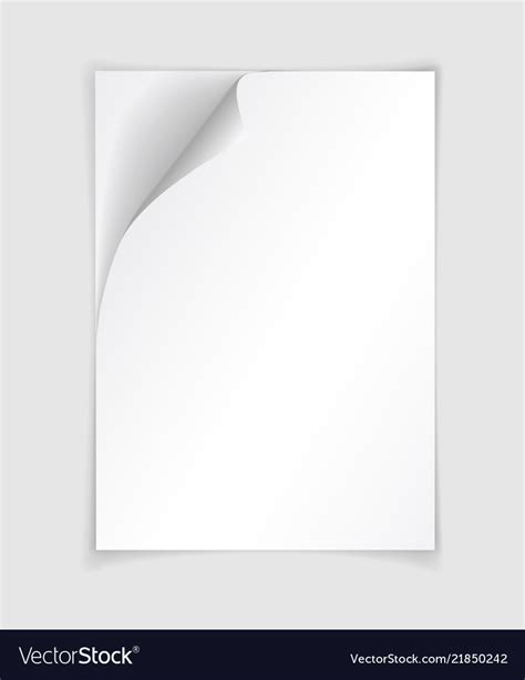 White Realistic Paper Page With Curled Corner Vector Image