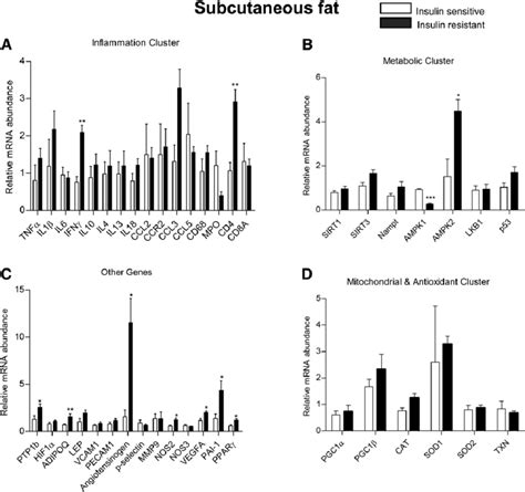 Relative Mrna Expression Of Genes By Rt 2 Profi Ler Pcr Array In Human Download Scientific