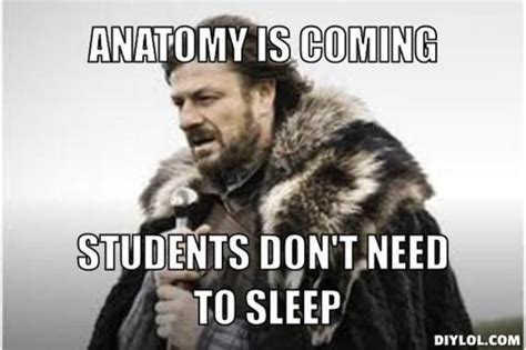 Funny Anatomy And Physiology Memes Meme Walls