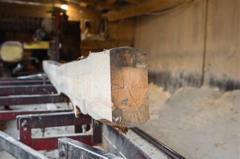 Procesamiento De Madera En Un Aserradero Aserrado Y Secado De Madera