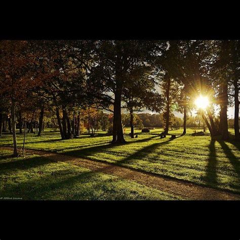 C O N C O U R S Jardin Botanique Universitaire Mignaloux Beauvoir