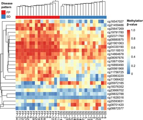 Hierarchical Clustering Heatmap Of Differentially Methylated Probes