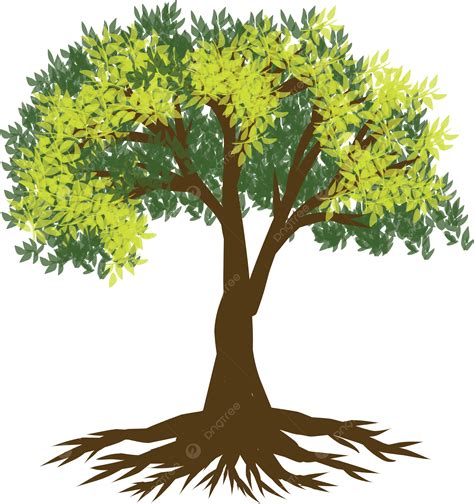 Vector árbol Sobre Fondo Blanco Png árbol Logo Pequeña Png Y Vector Para Descargar Gratis