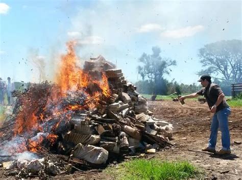 Incineran marihuana incautada en Canindeyú Nacionales ABC Color