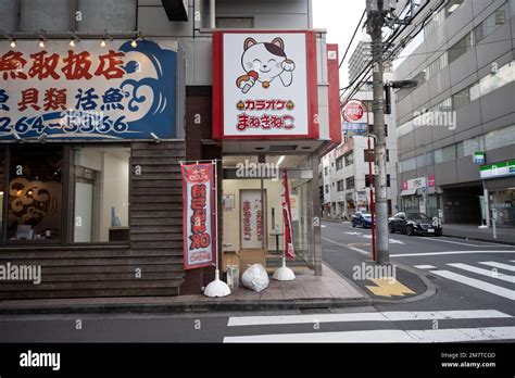 tokyo japan  jan   manekineko karaoke chain location