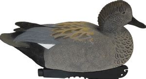 Knutson's Gadwall Duck Decoys, G & H Standard Weighted Keel Gadwall