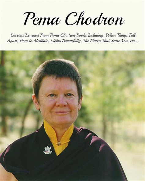 Amazon.ca: pema chodron