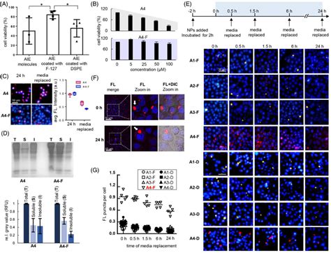 The Impact Of Functionalized AIE Nanoparticles On Proteome Stability