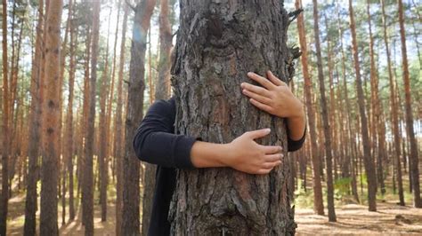 "Tree Hugging" Images – Browse 3,070 Stock Photos, Vectors, and Video | Adobe Stock