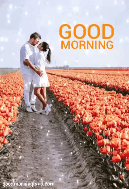 Animated Romantic Good Morning Images