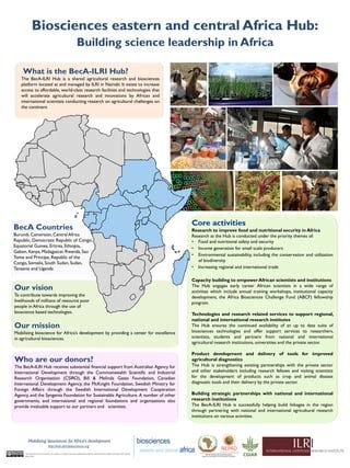 Beca Ilri Hub Building Science Leadership In Africa Pdf