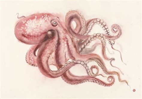 Realistic Octopus Painting