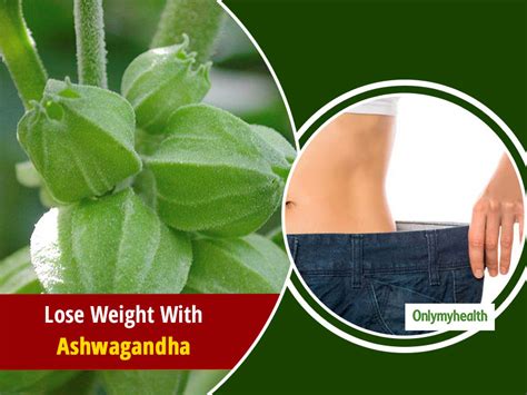 Ashwagandha Benefits For Weight Loss