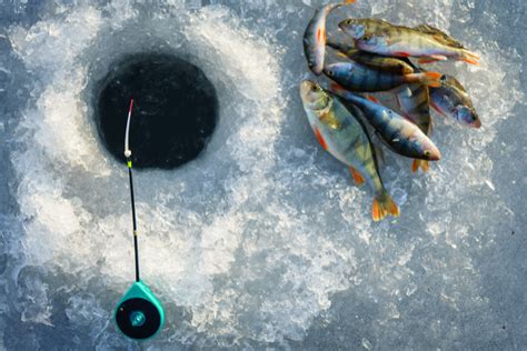 The Complete Illustrated Guide To Ice Fishing Fishingbooker Blog