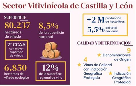 Los Datos Clave Del Sector Vitivinícola De Castilla Y León