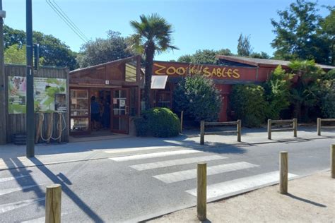 Comment Le Zoo Des Sables Dolonne Fait Face Aux Fortes Chaleurs