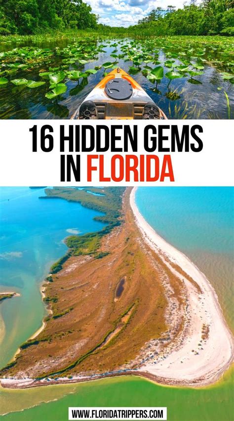 Discovering The Best Things To Do In Punta Gorda Florida S Hidden Gem