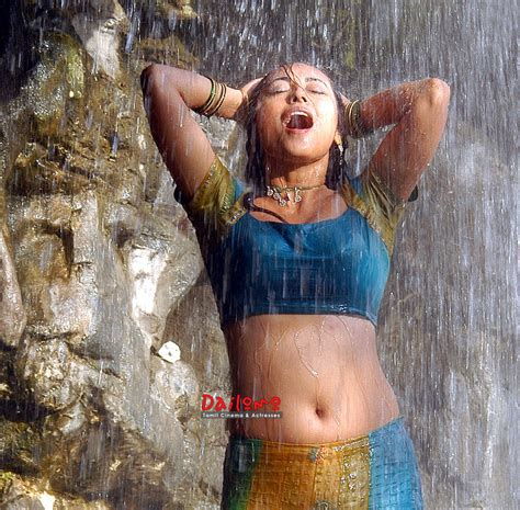 Tamil Actress Gallery Hot Wet Saree