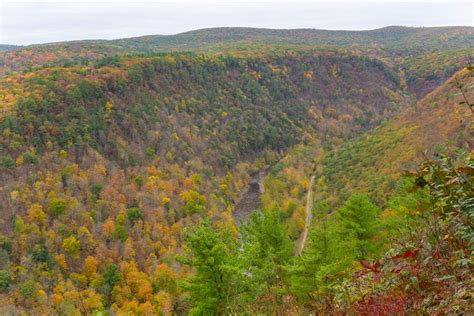 Grand Canyon of Pennsylvania | The Camerist's Collection