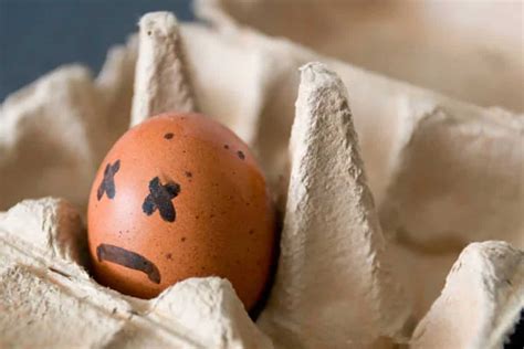 4 Egg Cellent Tips To Easily Spot Spoiled Eggs At Home