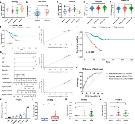 YTHDF2 Is Highly Expressed In MM And Is Correlated Prognosis AE The