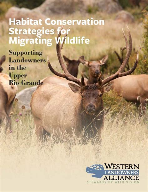 Habitat Conservation Strategies for Migrating Wildlife – Western Landowners Alliance