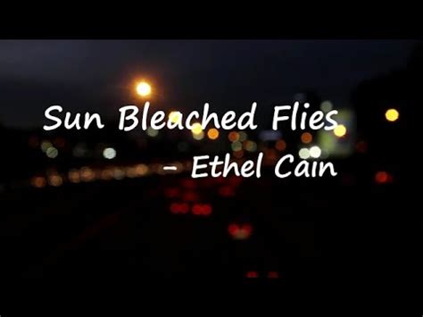 Ethel Cain Sun Bleached Flies Lyrics Youtube