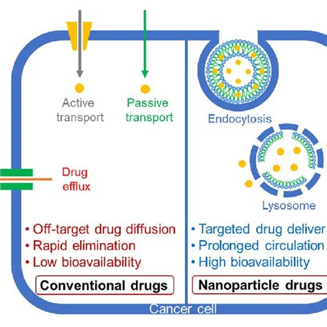 schematic representation  conventional  nanoparticle drug