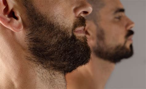 A Qu Edad Crece La Barba Expertos En Belleza Responden Todobelleza