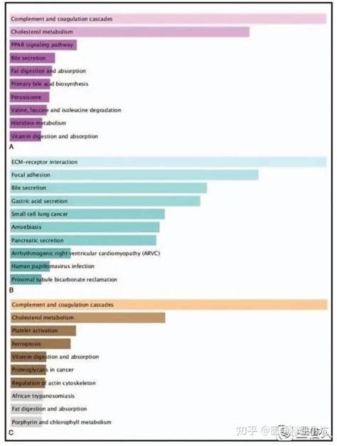 一文读懂基因富集分析：从小白到sci 知乎