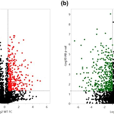 Volcano Plots Showing Differentially Accumulated Proteins In The Wild