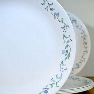 Corelle Country Cottage Dinner Plates Set Of 6 Periwinkle Colored