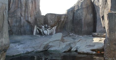 Harbor Seal Habitat | ALASKA.ORG