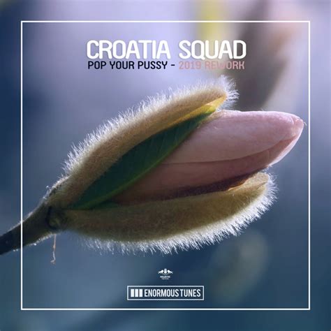 Pop Your Pussy Rework Edit Song And Lyrics By Croatia Squad