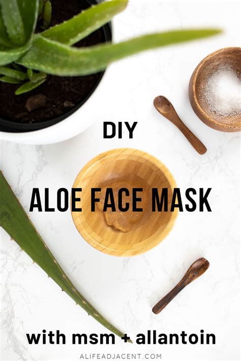 DIY Aloe Vera Face Mask for Glowing Skin - A Life Adjacent