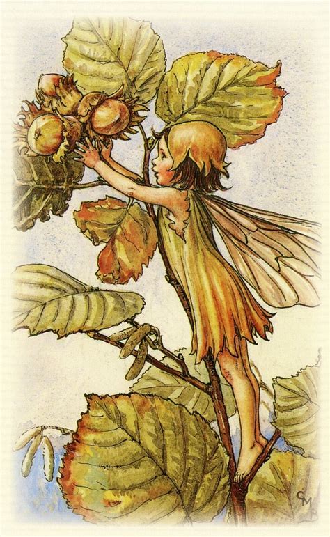 The Hazel Nut Fairy Flower Fairies Of The Autumn Cicely Mary Barker