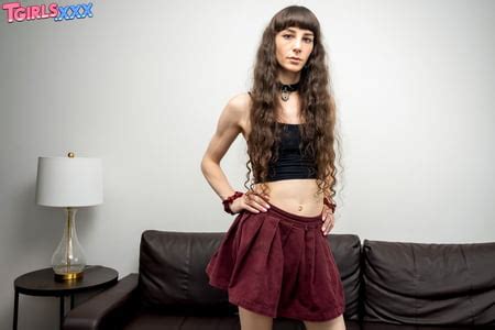 TGIRLS XXX COLLARED AND HORNY Pics XHamster