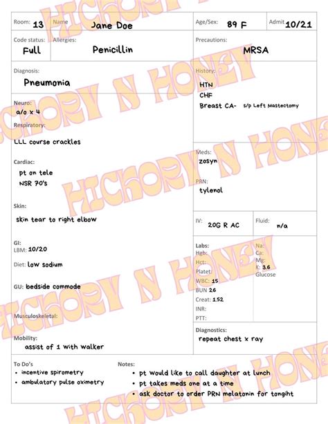 Nursing Report Sheet For Med Surg Nurse Rn Assessment And Care Plan Document Best Report Sheet