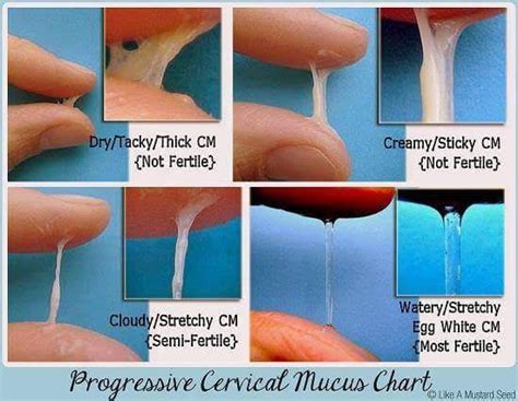 Latched On Mom 5 Signs You Are Ovulating And More Ttc Tips