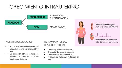 SOLUTION Unmsm Bioqu Mica Y Biolog A Molecular Presentaci N De Power