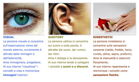 Visivo Uditivo E Cinestesico La Grande Bufala Metodo Universitario