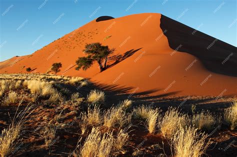 Premium Photo Sand Dune In Sossusvlei In The Namib Desert In Namibia