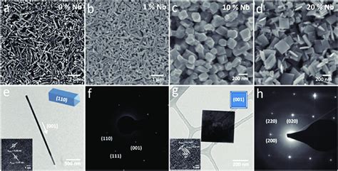 Morphological And Structural Features Of Plain And Nb Doped Tio